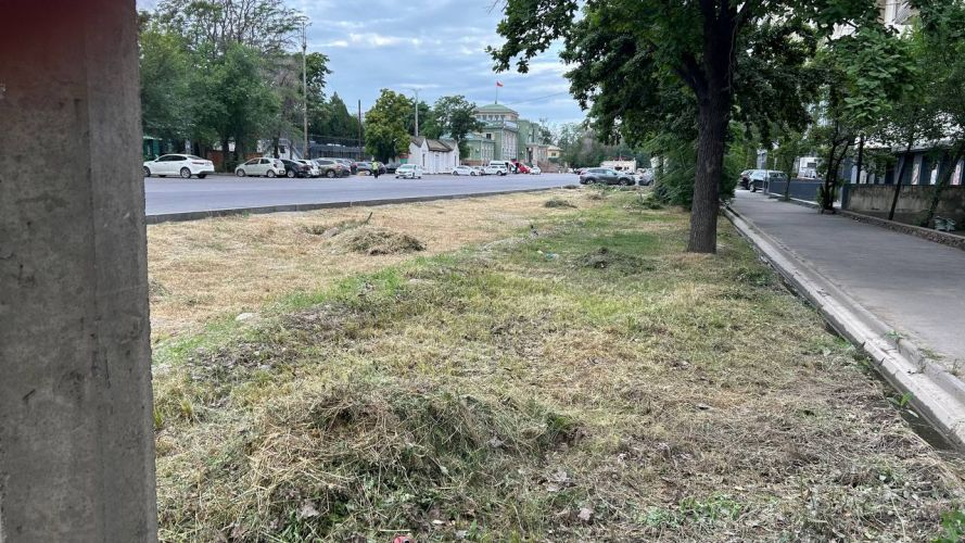 Жара только началась, а Бишкек уже засыхает