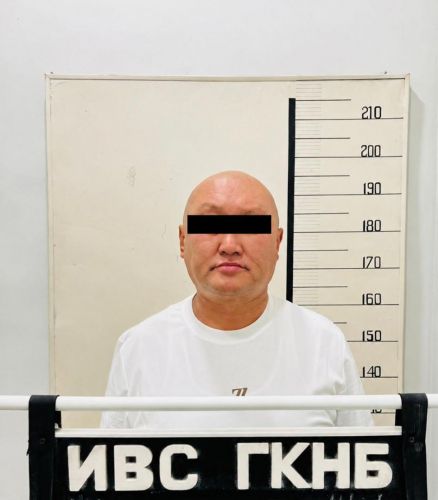 Fraud against investors: Ex-adviser to President of Kyrgyzstan detained