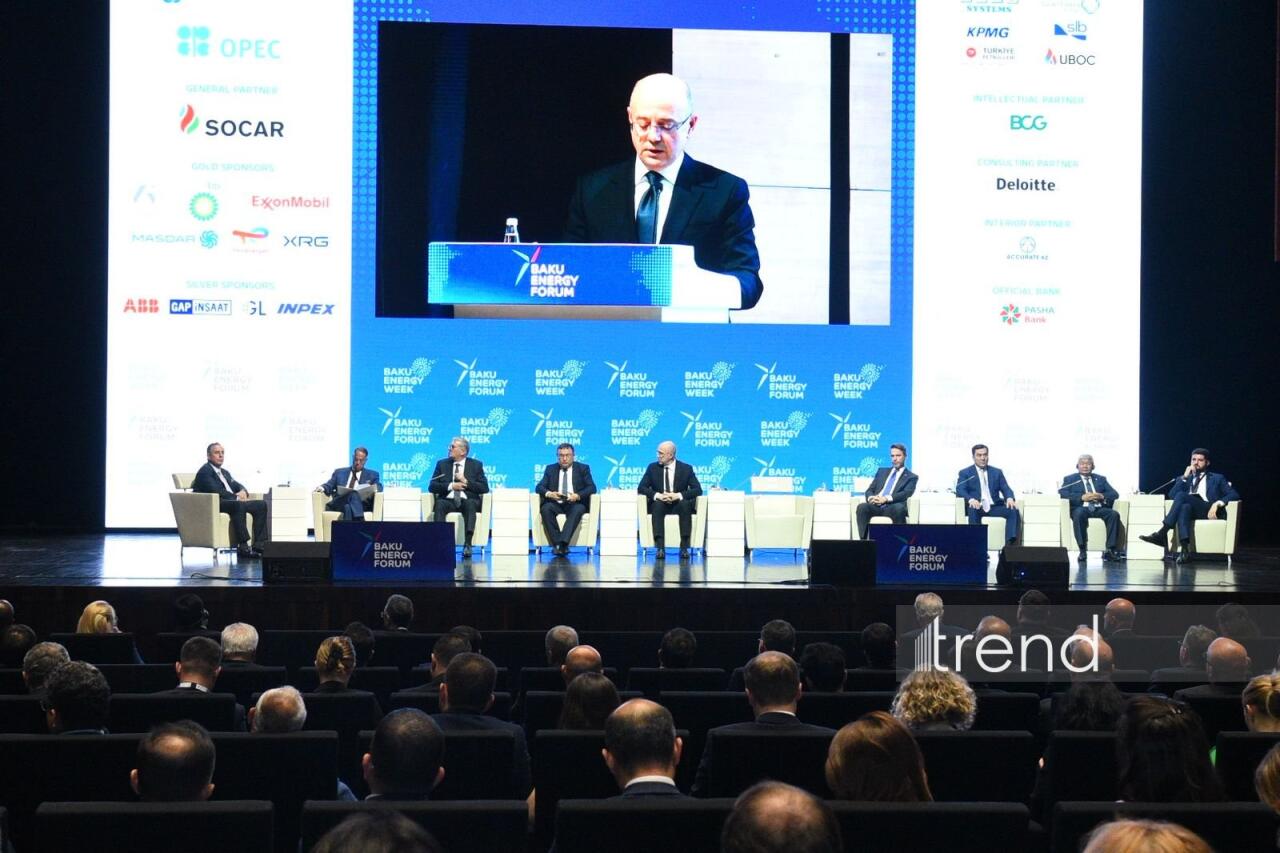 "Enerji sahəsində əməkdaşlığa dair" Bakı Bəyannaməsi qəbul edilib