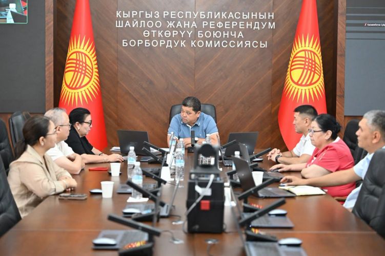 CEC approves procedure for remote voting in presidential election