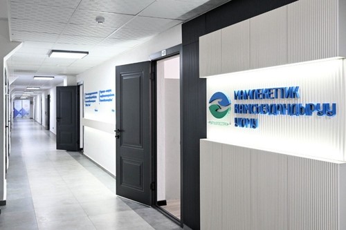 Кабмин передал функции акционера Госстраховой организации от Минфина в Управделами президента