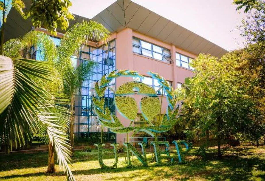 Форум НПО Азербайджана стал наблюдателем UNEP