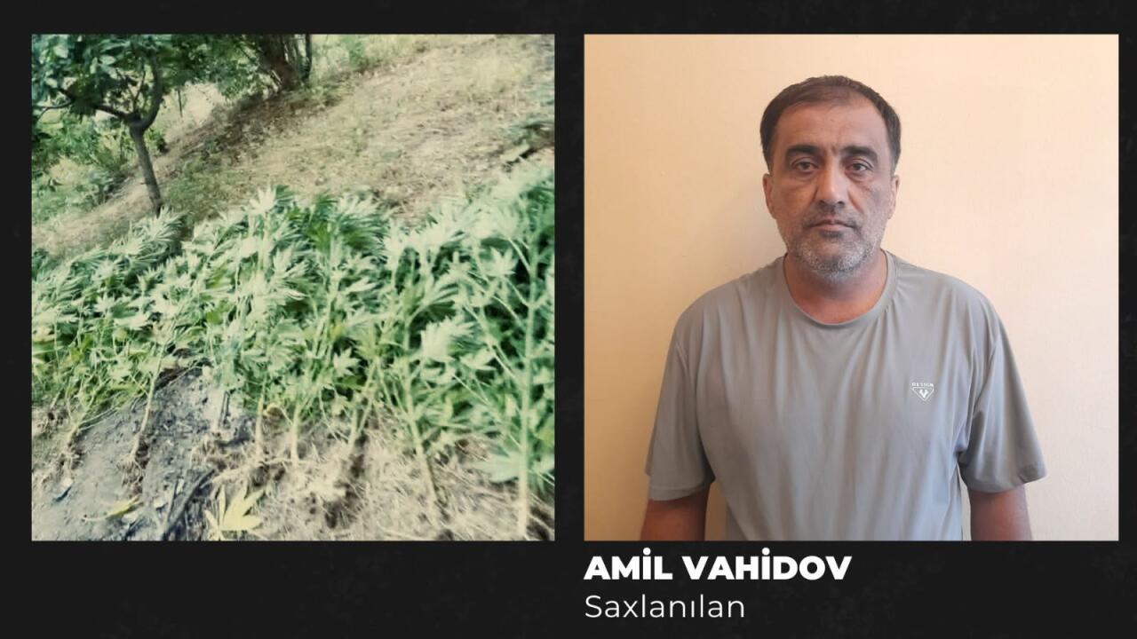 Amil Vahidov SAXLANILDI