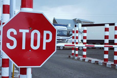 В Кыргызстан не пропустили 2000 штук горшочных цветов, ввезённых из Казахстана