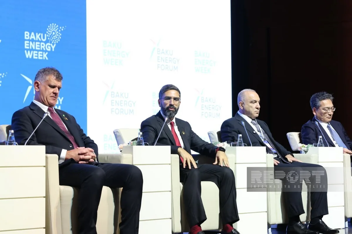 Наджаф: SOCAR оценивает новые проекты с точки зрения создания дополнительной стоимости