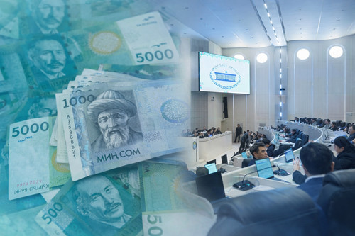 Из госбюджета выделят 46 млн сомов на выкуп недвижимости в Иссык-Кульской области