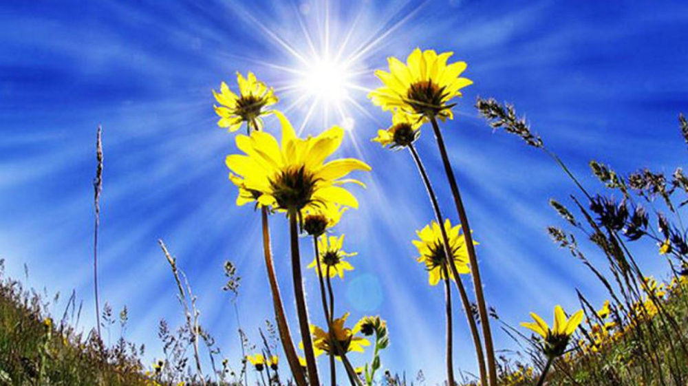 Лето! 🌻 Прогноз погоды по Кыргызстану на июнь-2026