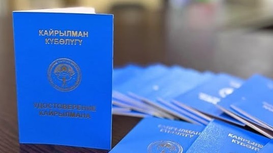 В Кыргызстане с начала года 387 этнических кыргызов получили статус кайрылмана