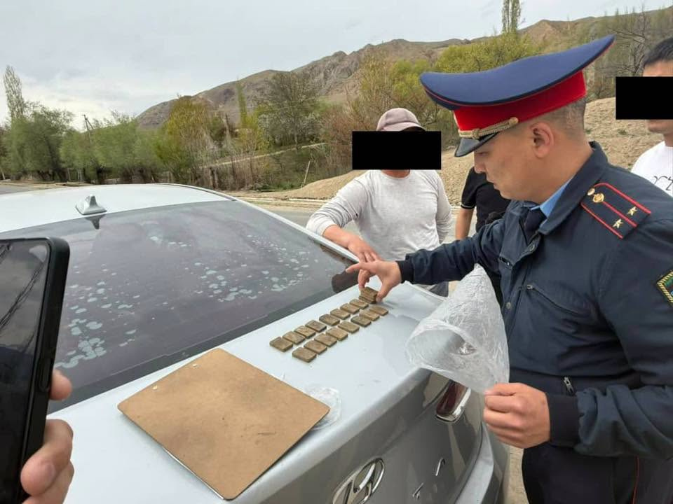 МВД задержало подозреваемых в перевозке крупной партии наркотиков