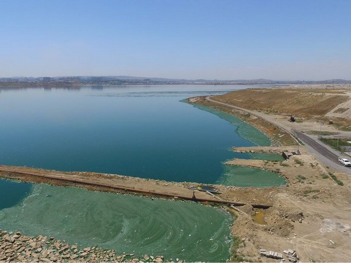 Вода в озере Бёюкшор позеленела: названа возможная причина