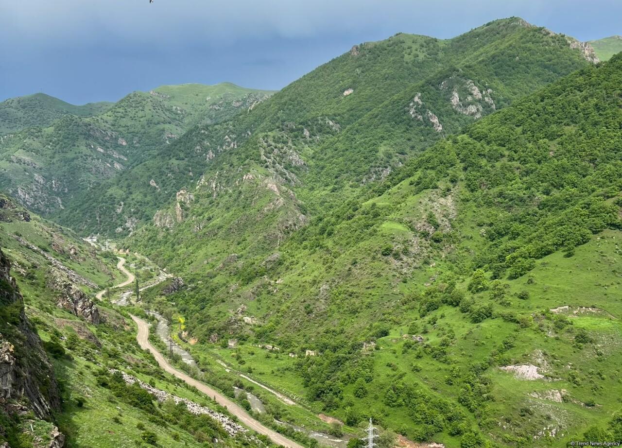 Qarabağ və Şərqi Zəngəzurda sahibkarlıq subyektlərinin sayı artıb