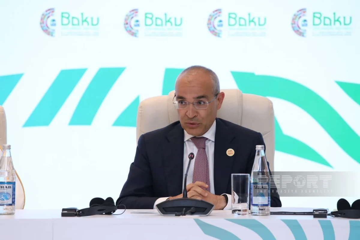Микаил Джаббаров назвал главное преимущество Азербайджана для инвесторов