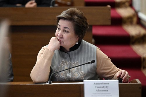 Депутат предложила увеличить период охлаждения самозапрета на недвижимость до 72 часов