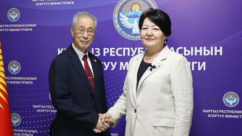Kyrgyzstan and Japan discuss strengthening educational cooperation