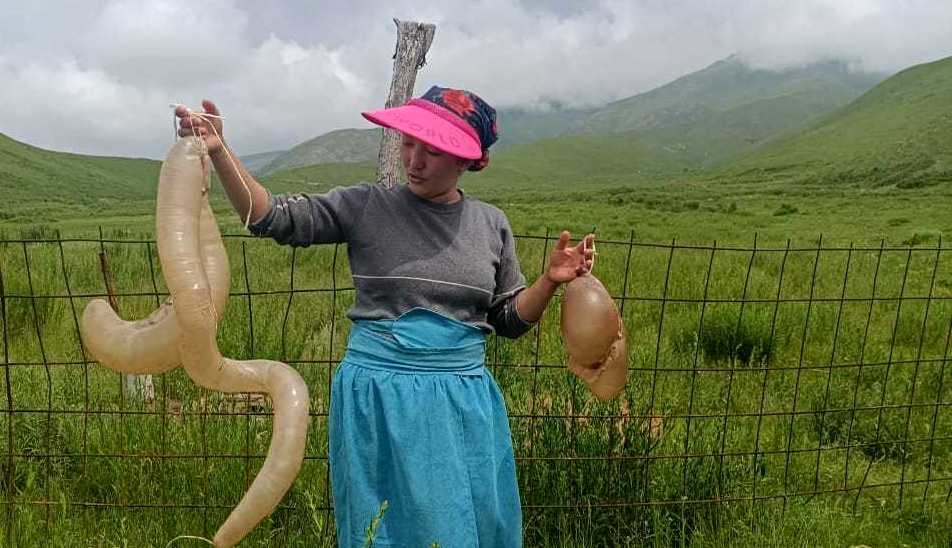 Жизнь в регионах: Жительница Суусамыра Элиза Чуйтеева рассказала, как готовят традиционное масло, которое хранят в желудке животного