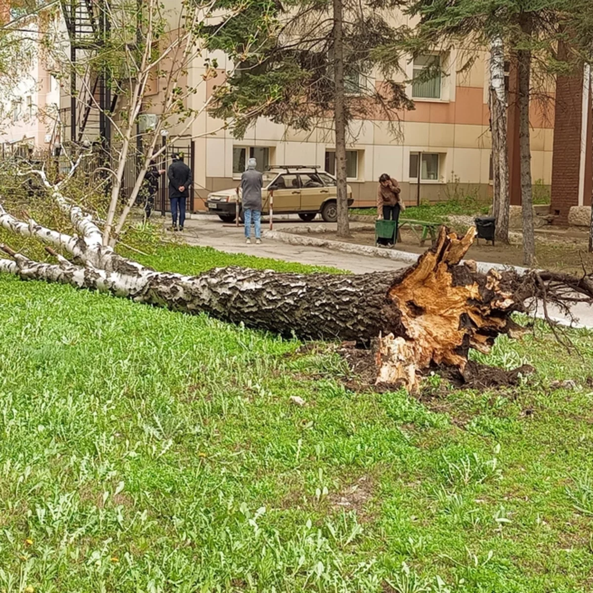 Fövqəladə Hallar Nazirliyi: Rusiyada pis hava şəraiti səbəbindən bir uşaq həlak olub, daha 30 nəfər yaralanıb