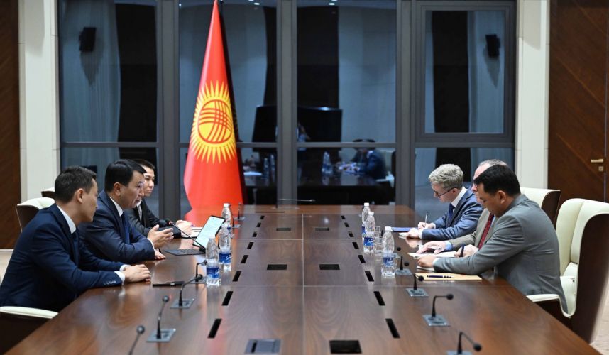 Kyrgyzstan and USA discuss export of agricultural products to U.S. market