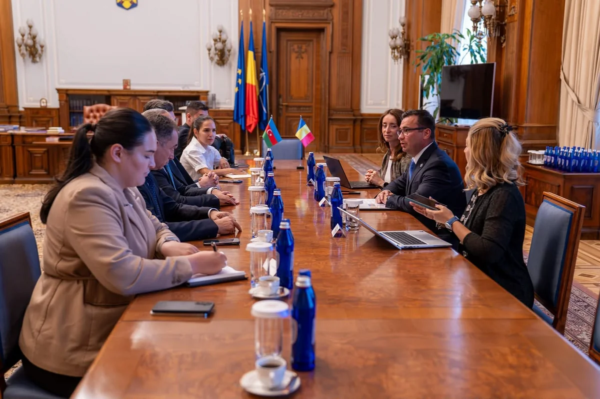 Азербайджанская делегация провела встречи в парламенте Румынии