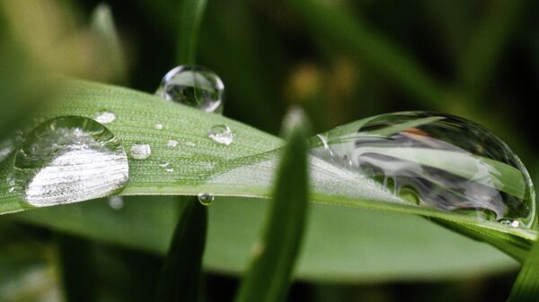 Дождь, гроза — погода в Бишкеке 16 апреля