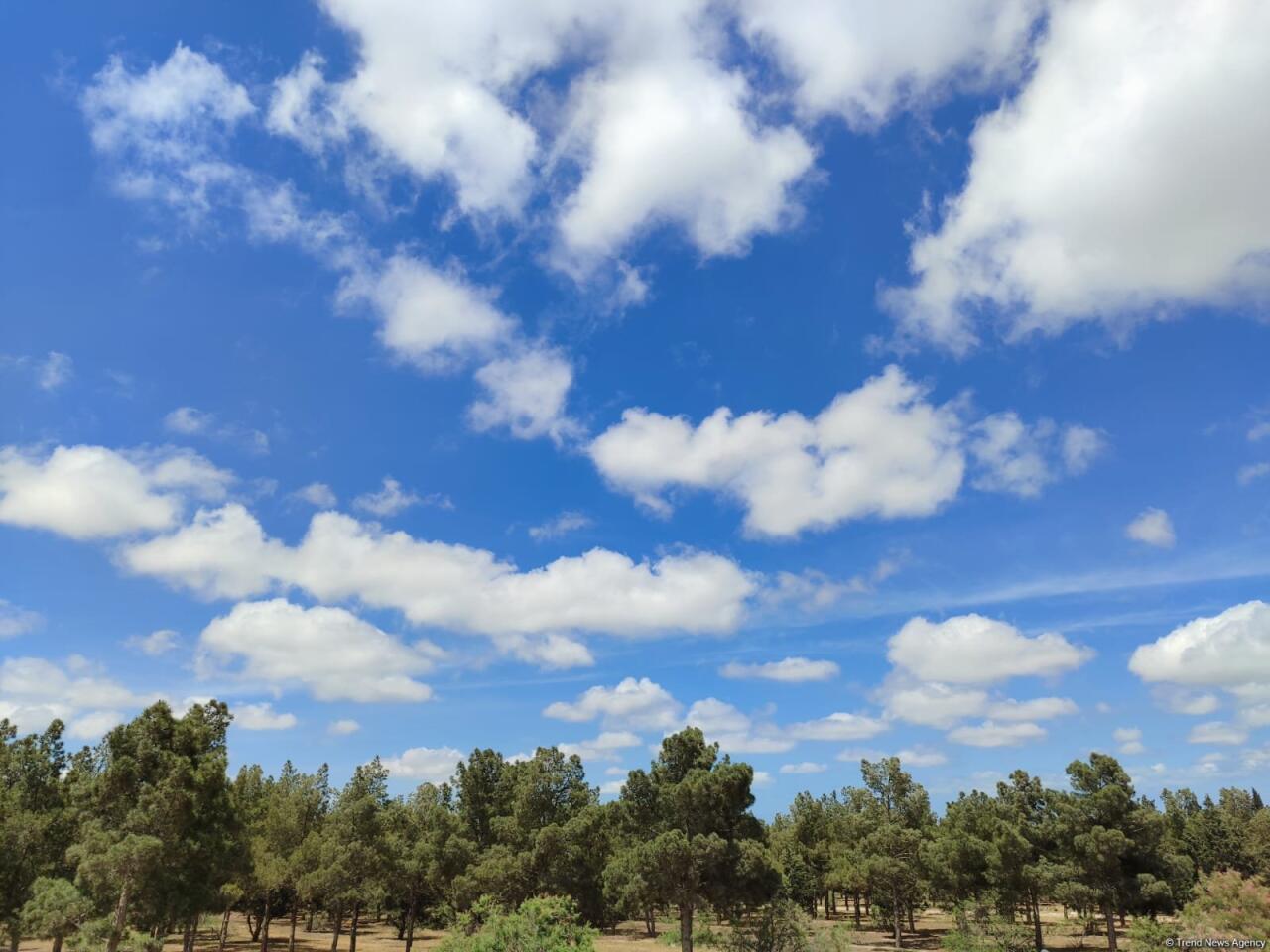 Sabahın hava