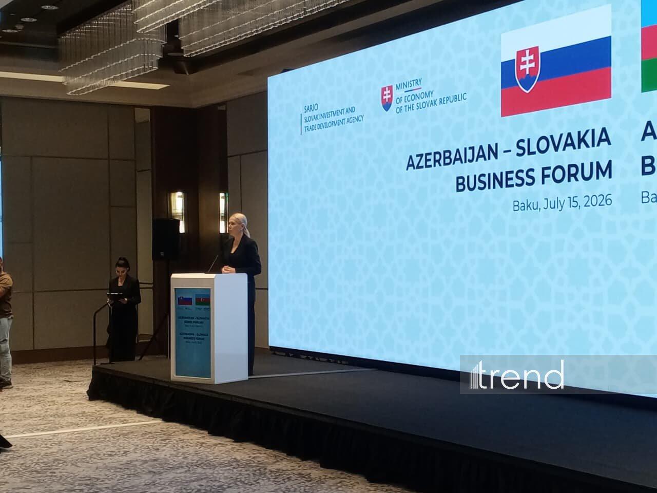 Дениса Сакова подчеркнула стратегическое значение Азербайджана для Словакии