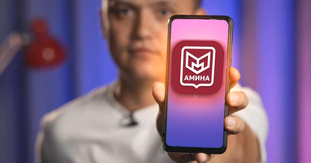 С 1 сентября приложение «Амина» станет обязательным для безвизовых иностранных граждан в России