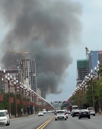 Дым у «Ынтымак Ордо»: в Бишкеке загорелось сухотравье