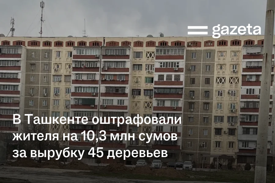 В Ташкенте оштрафовали жителя на 10,3 млн сумов за вырубку 45 деревьев