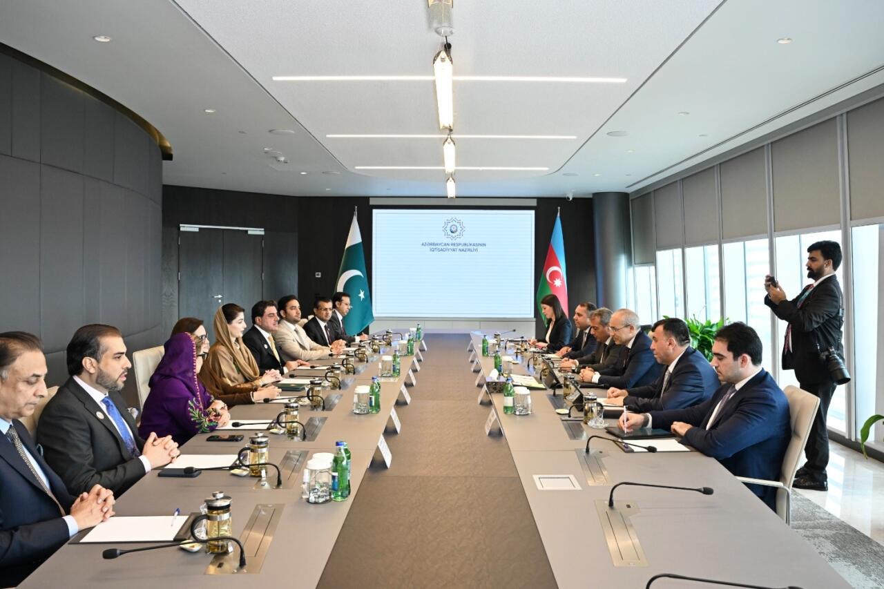 Mikayıl Cabbarov Pəncab əyalətinin Baş naziri ilə görüşüb