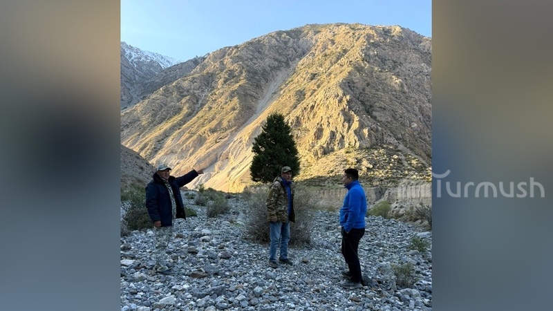 Data from camera traps with wild animals to be studied in Osh region