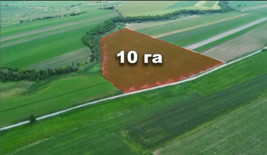 Неустановленные лица пользовались 20 га земли в Сокулукском районе