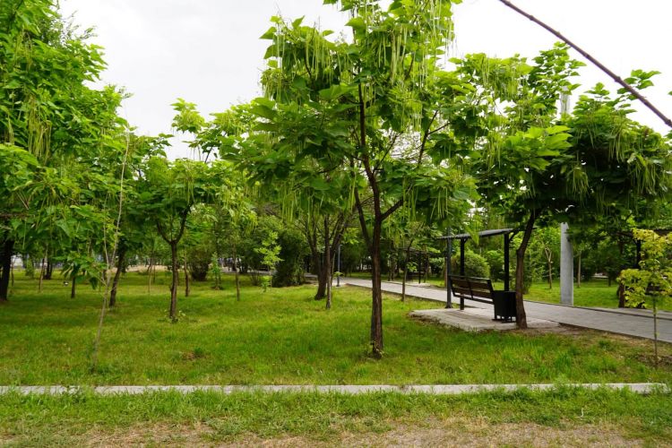 Bishkek to drill 18 wells to help preserve green spaces