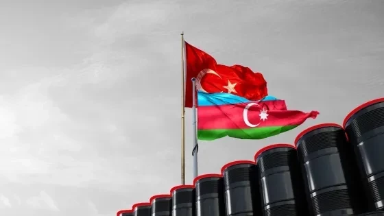 Азербайджанские компании смогут принять участие в энергетических аукционах Турции