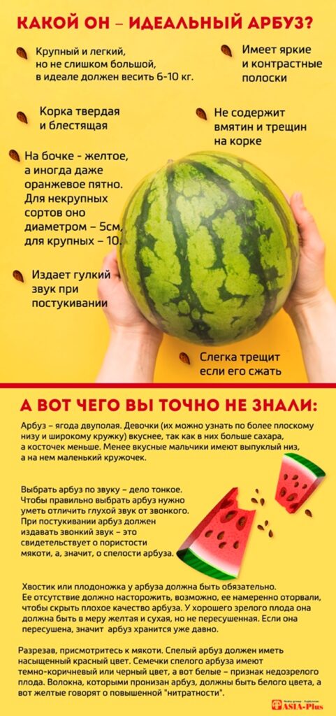 Квадратный, желтый и без косточек: выбираем самый вкусный арбуз