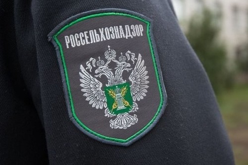Россия вернула партии овощей кыргызстанского происхождения из-за нарушений фитосанитарных требований