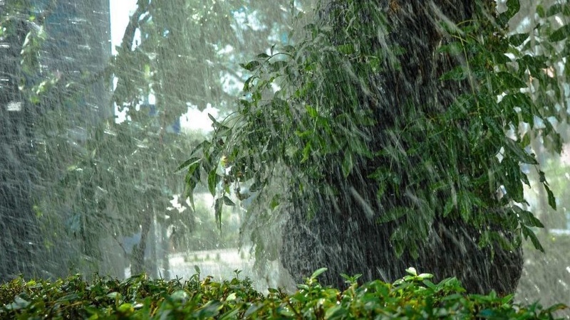 Bishkek launches "Green City" competitions with major cash prizes for landscaping