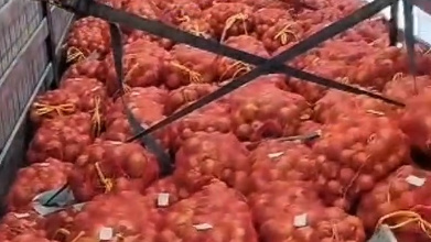В Кыргызстан не пустили 25 тонн лука из соседней страны (видео)