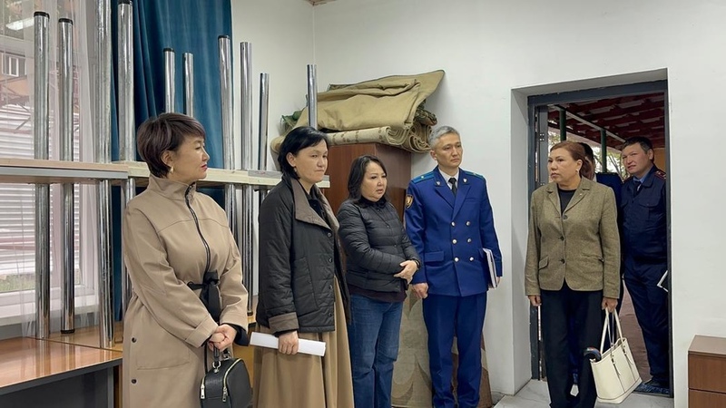 General Prosecutor's Office carries out on-site inspection of centers providing assistance to victims of domestic violence