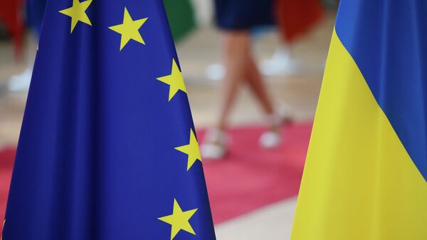 Украина не готова к вступлению в Евросоюз, заявили в Верховной раде