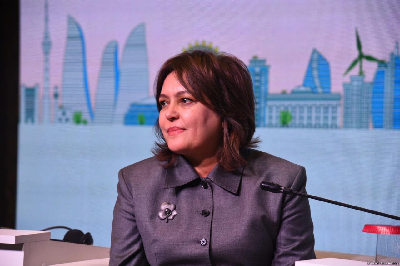 Azərbaycan müxtəlif ekoloji problemlərlə üzləşib