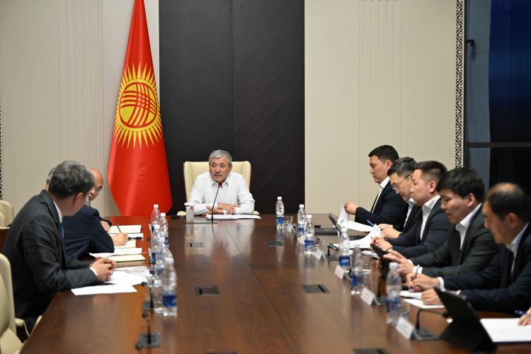 Chinese investors ready to invest in rare earth metal exploration in Kyrgyzstan