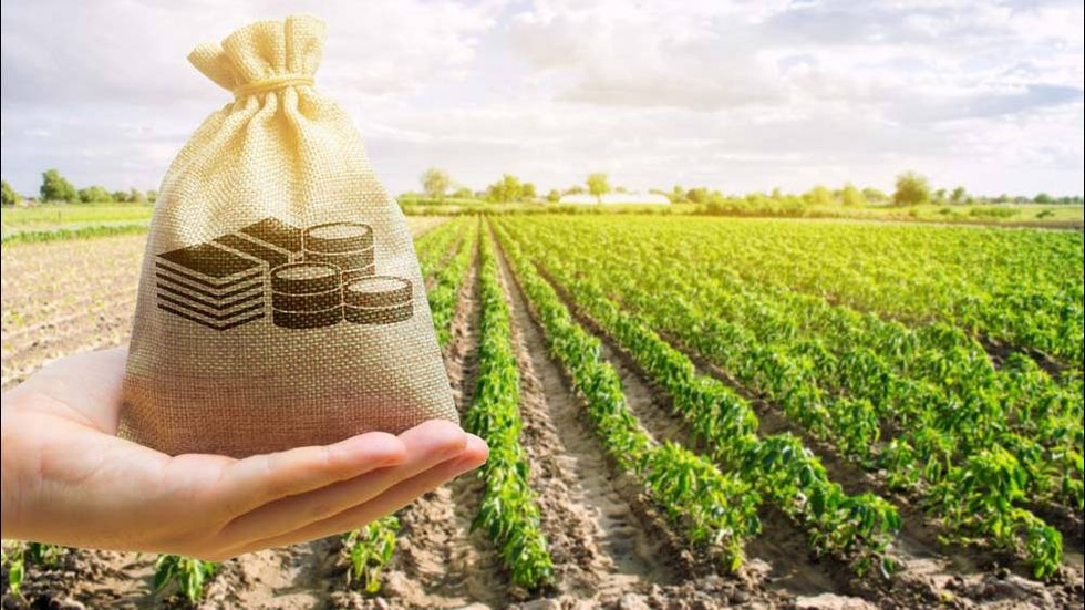 В Кыргызстане предлагают ввести единую методику расчета аренды муниципальной земли