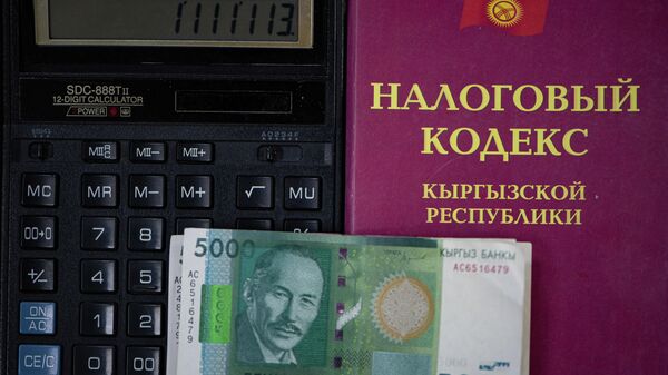 В 20 раз выросло число плательщиков налога на недвижимость в КР — подробности