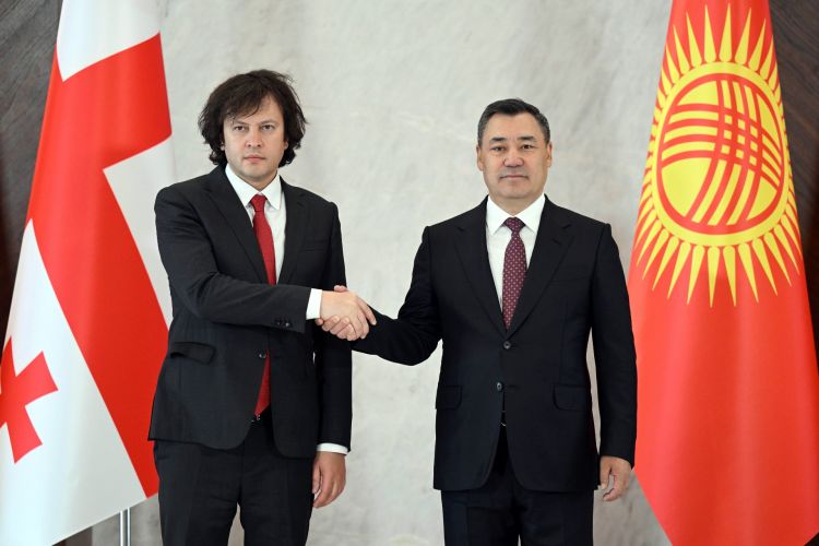 Kyrgyzstan and Georgia discuss prospects for opening direct flights