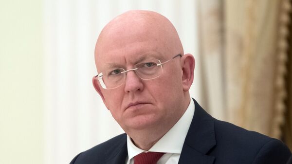 Неуклюжей провокацией назвал Небензя письмо Зеленского Путину