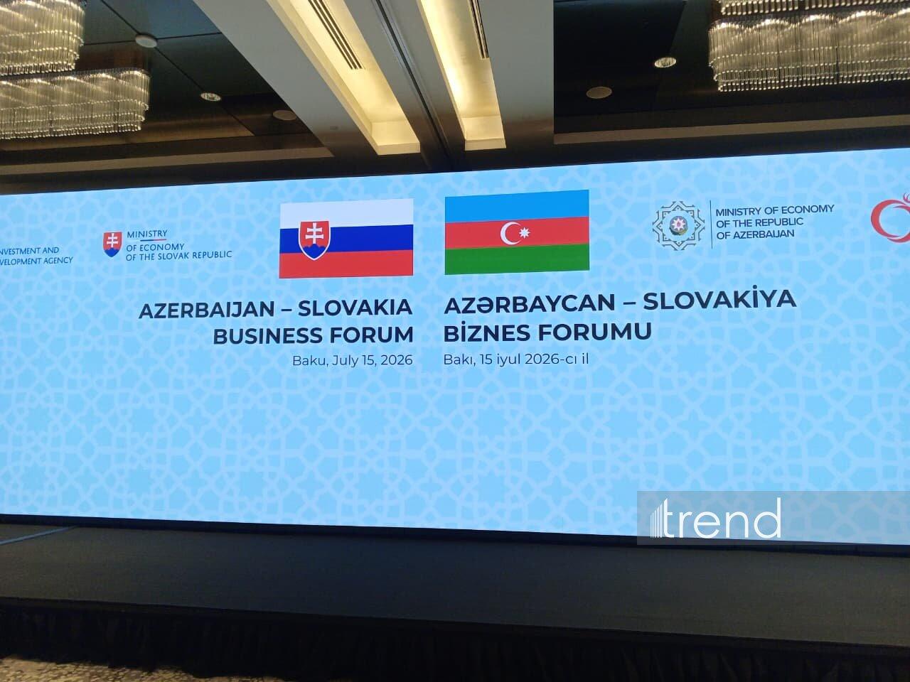 В Баку проходит Азербайджано-словацкий бизнес-форум
