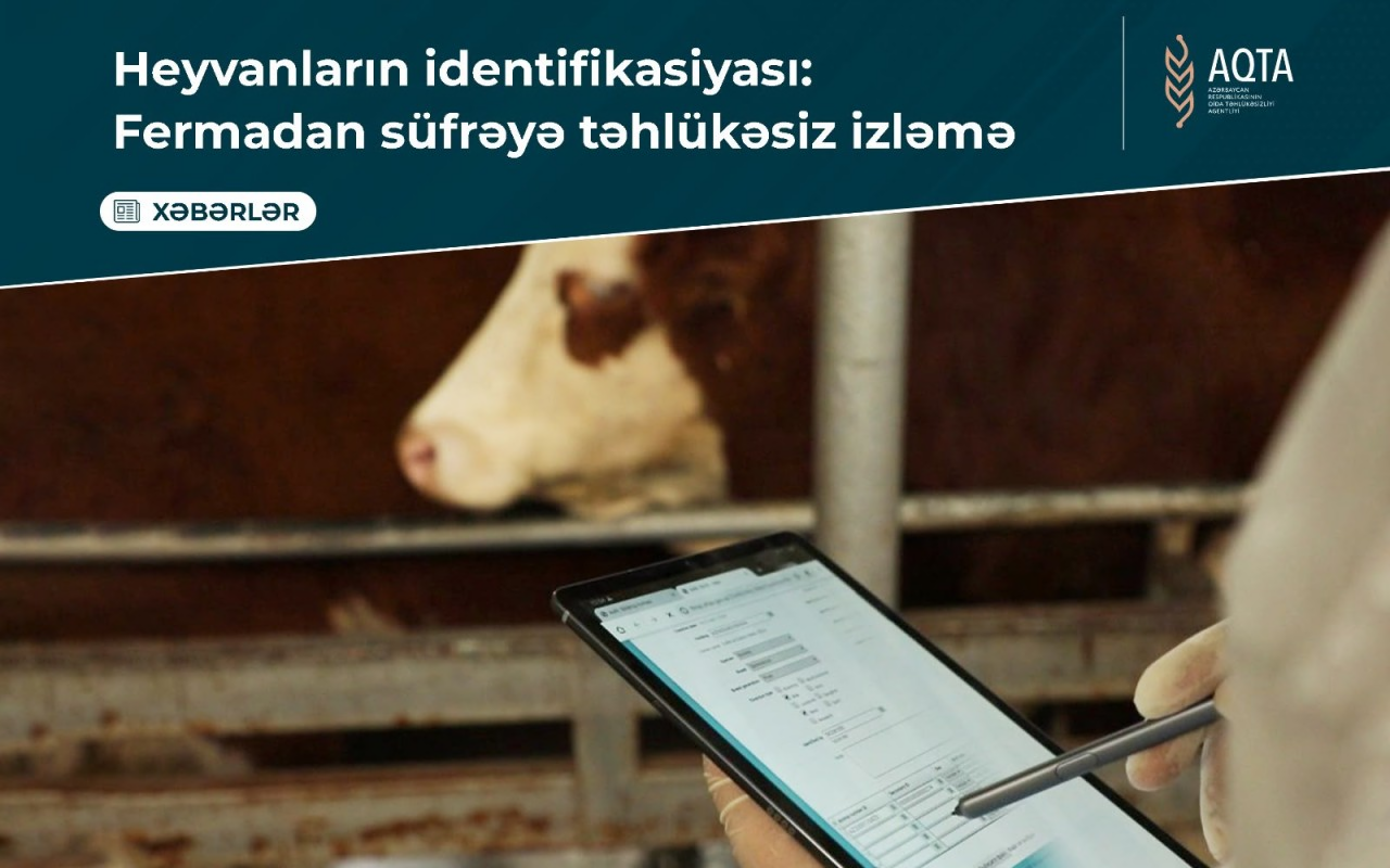 İdentifikasiya olunan heyvanlar: Xəstəliklərin qarşısının alınması və təsərrüfatların inkişafı üçün vacib addım