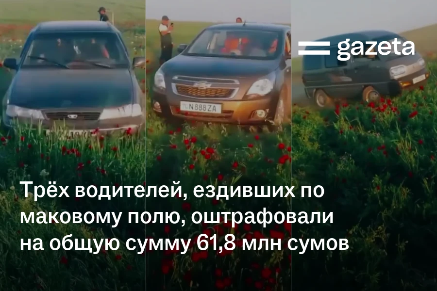 Трёх водителей, ездивших по тюльпановому полю, оштрафовали на общую сумму 61,8 млн сумов