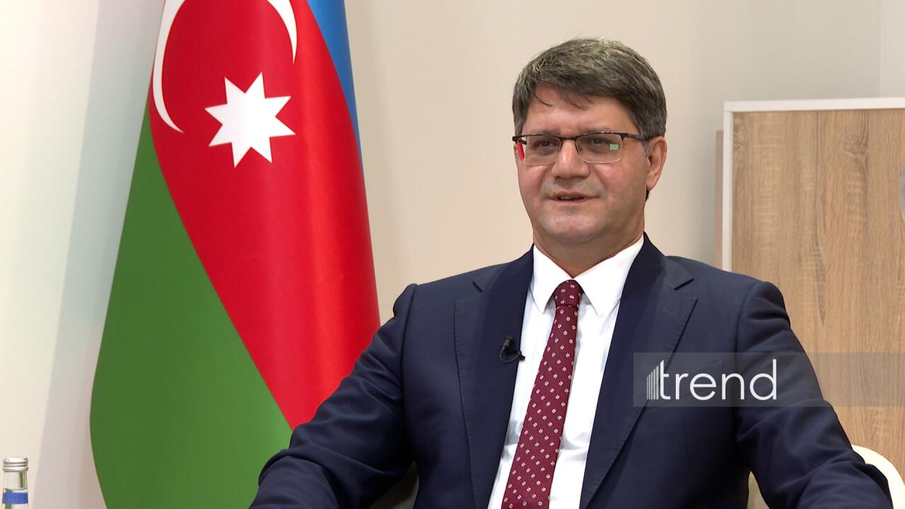 Cəbrayıl rayonunda illik 2 milyon ağac tingi yetişdiriləcək