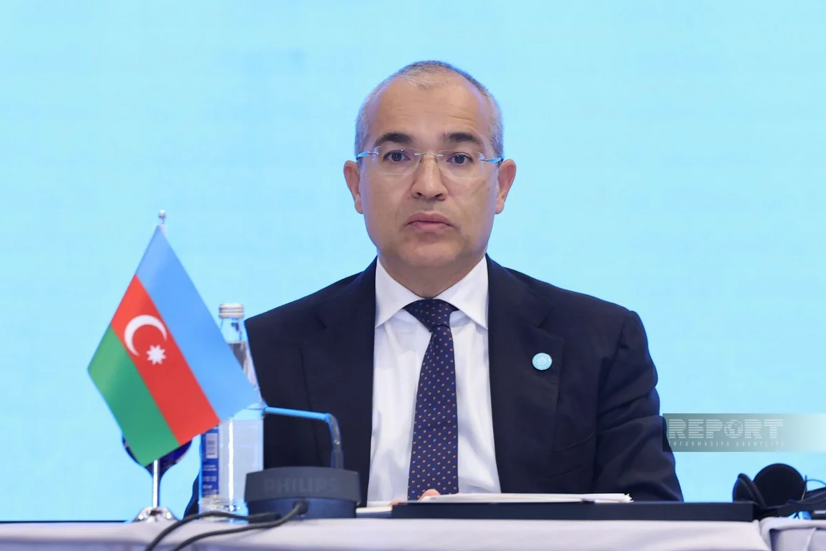 Mikayıl Cabbarov: Azərbaycan güləşçiləri Tiranada keçirilən Avropa Çempionatında 13 medal qazandı